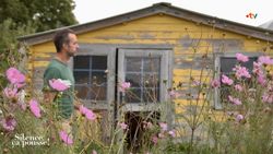 Man standing near a yellow wooden shed with pink flowers in the foreground.