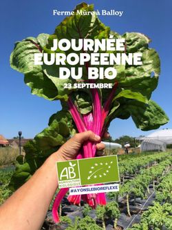 A hand holds fresh organic Swiss chard with a farm and garden in the background under a clear blue sky.
