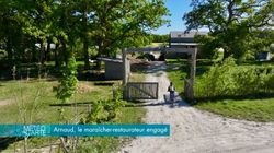 Entrée de ferme entourée d'arbres avec un chemin de terre menant à un bâtiment agricole en arrière-plan.