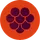 should_generate_image_description