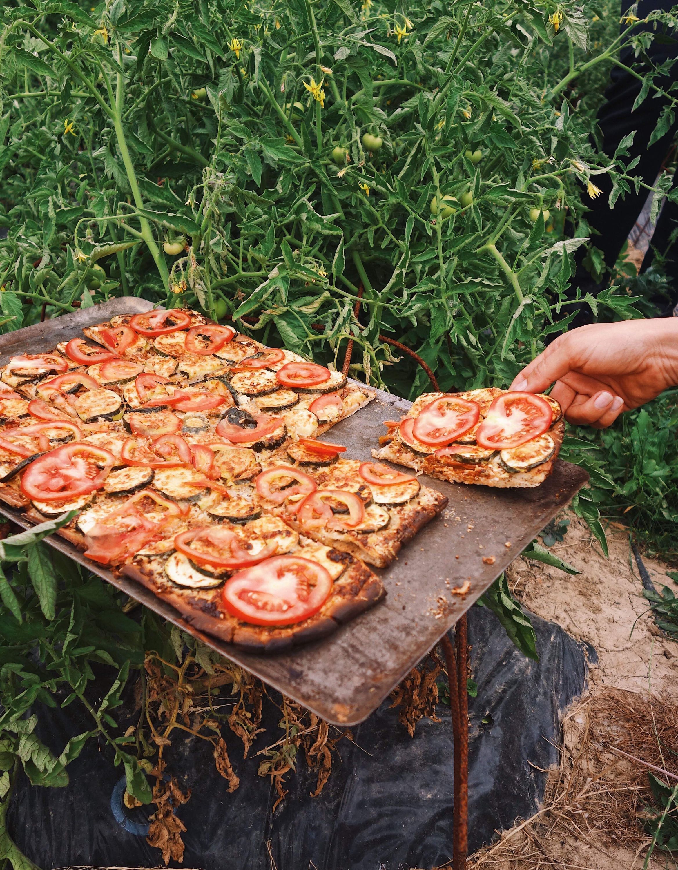 Pizza végétarienne garnie de tomates et courgettes fraîches, sur plaque en extérieur près de plants de tomates.