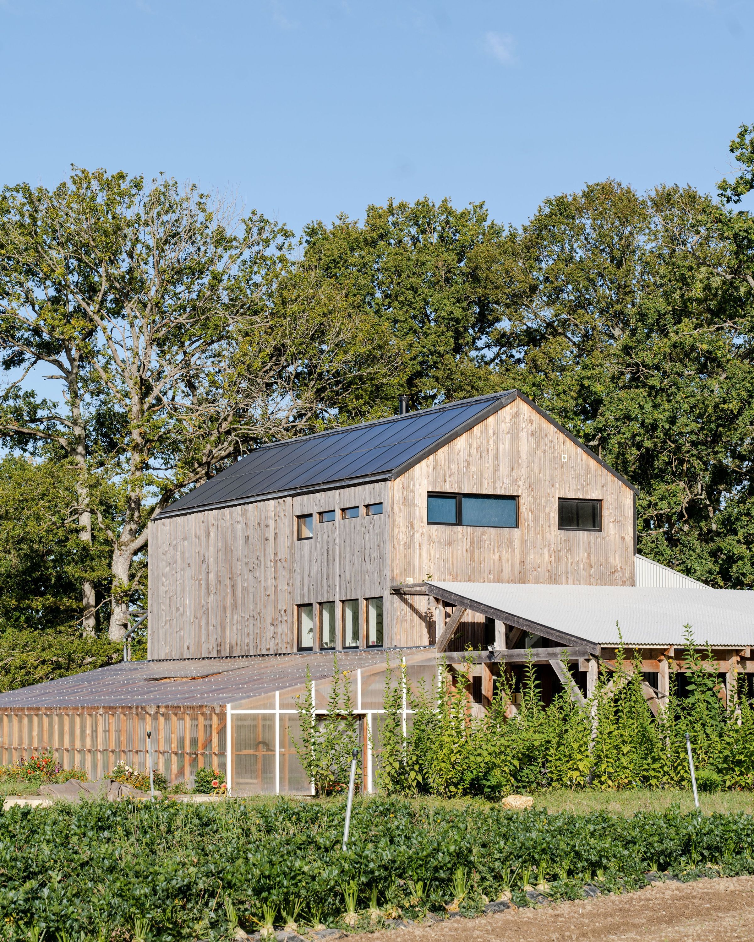 Bâtiment en bois moderne entouré de végétation dense, illustration du restaurant bio MÛRE dans un cadre naturel.